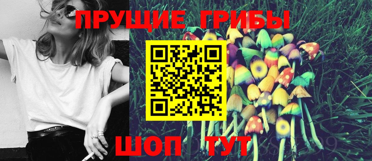 Галлюциногенные грибы GOLDEN TEACHER Вологда