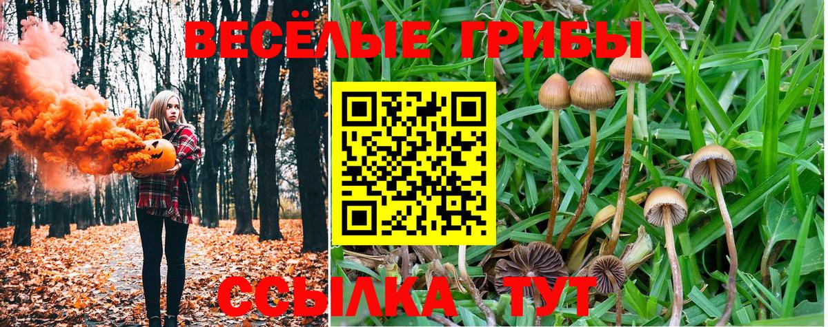 Псилоцибиновые грибы ЛСД  Галлюциногенные грибы ЛСД  Вход с VPN  Вологда 